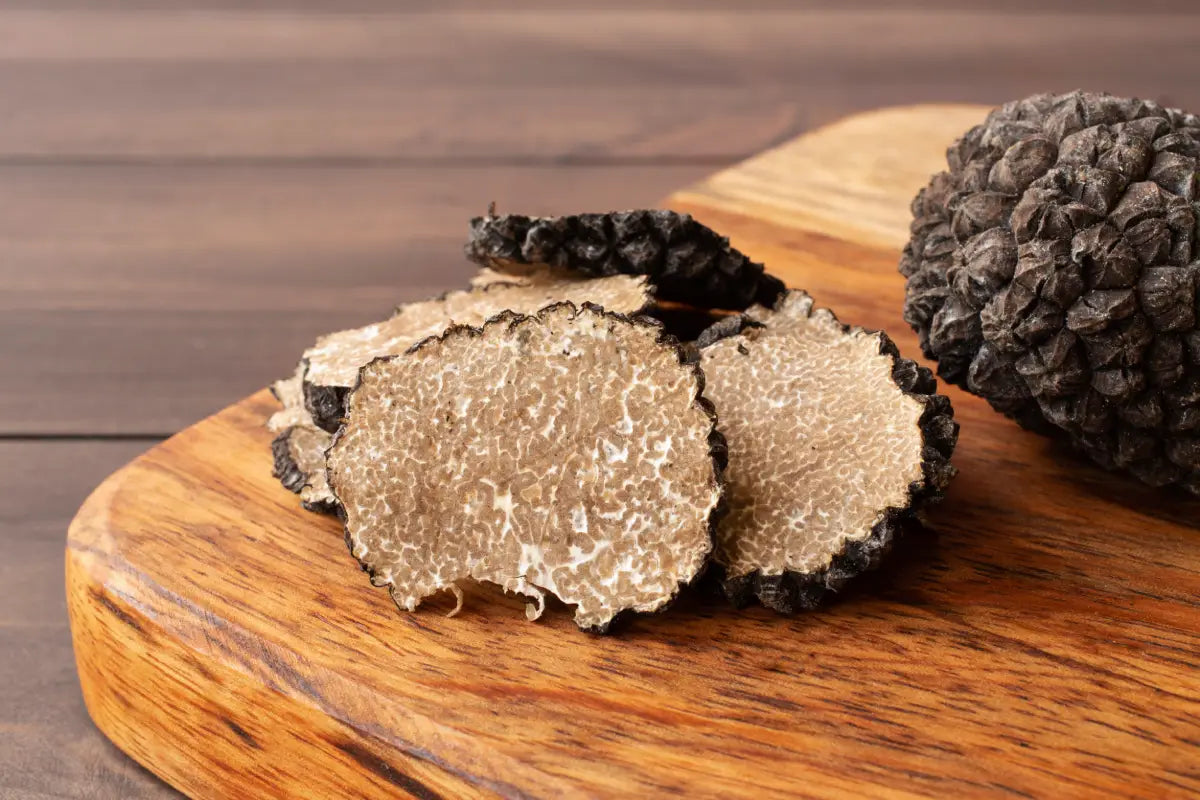 What Is a Truffle? An In-Depth Exploration of the Gourmet Fungi